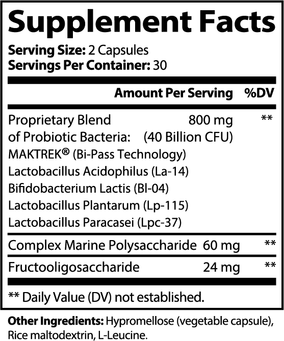 Gut Synergy Probiotic (40B + Prebiotics)